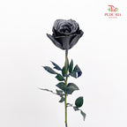 Rose Mondial Dyed Yicaiflower - (8-10 Stems)
