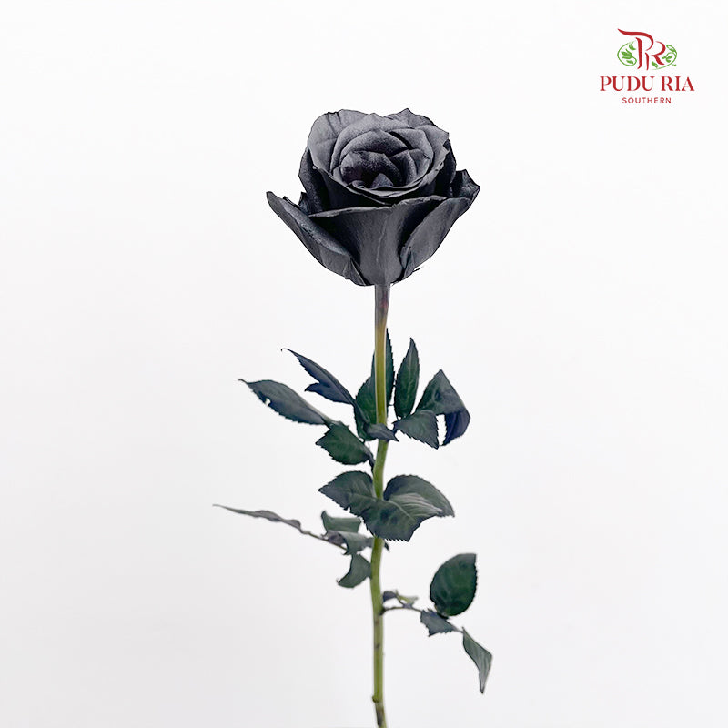 Rose Mondial Dyed Yicaiflower - (8-10 Stems)