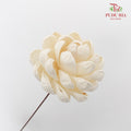 Dry Sola Wood Lotus - Pudu Ria Florist Southern