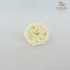 16 Bloom Austin Soap Flower English - FBA088#2