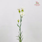 Carnation Spray Star Tessino White - (18-20 Stems)