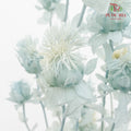 Dry Safflower - Light Blue