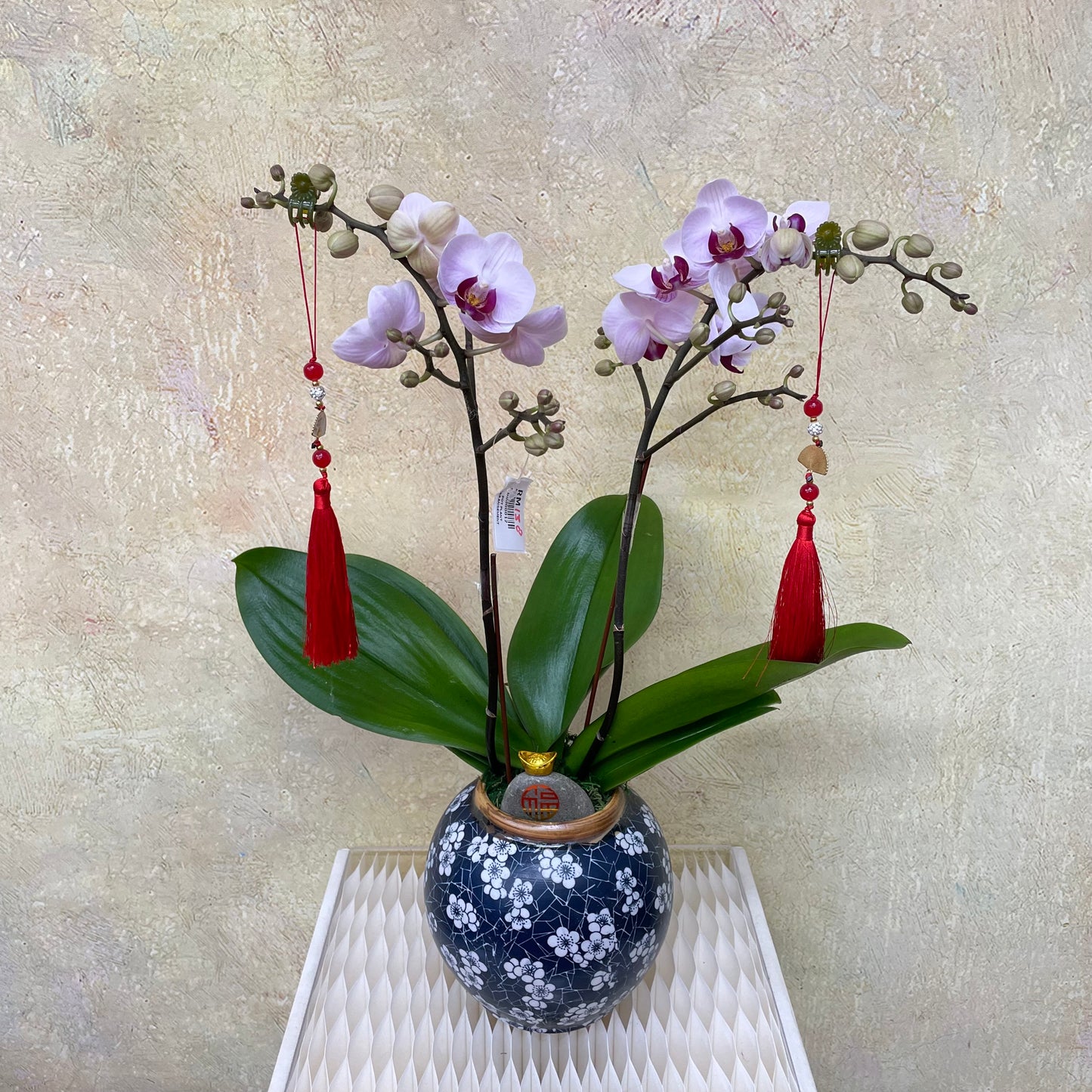 CNY Phalaenopsis Arrangement 2025 #8