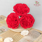 16 Bloom Austin Soap Flower Fiery Red - FBA088#3