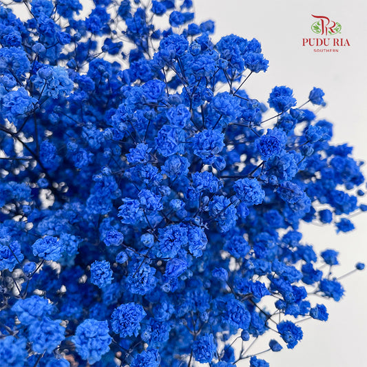 Preservative Baby Breath - Dark Blue