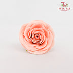 25 Bloom Soap Flower Awalking Peach Pink - FBA089#1