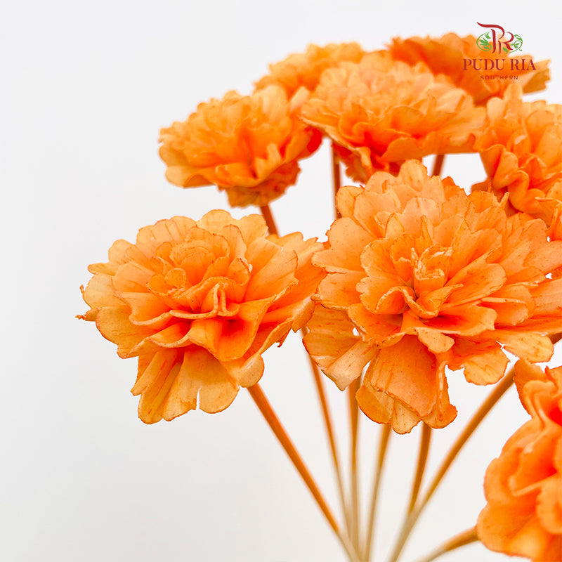Dry Sola Marigold Light Orange - 10 Stems