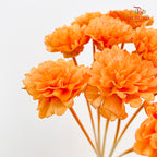 Dry Sola Marigold Light Orange - 10 Stems