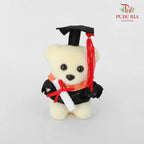 6 Pcs Graduation Toy 4' - FTY001#1 - Pudu Ria Florist Southern