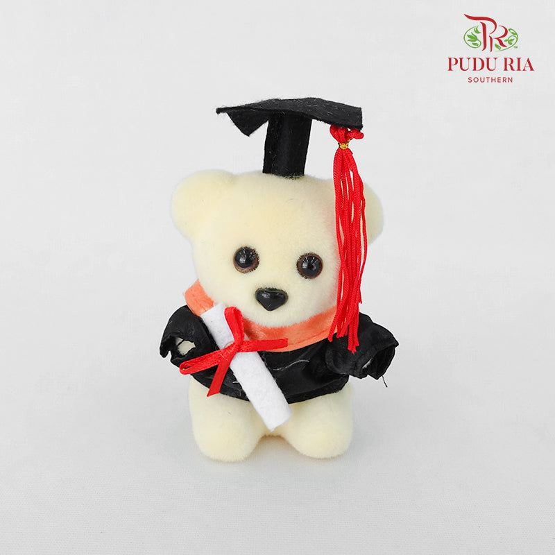 6 Pcs Graduation Toy 4' - FTY001#1 - Pudu Ria Florist Southern