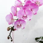 CNY Potted Plant Arrangement 2024#78