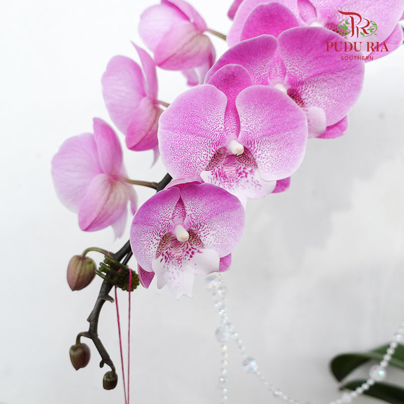 CNY Potted Plant Arrangement 2024#78