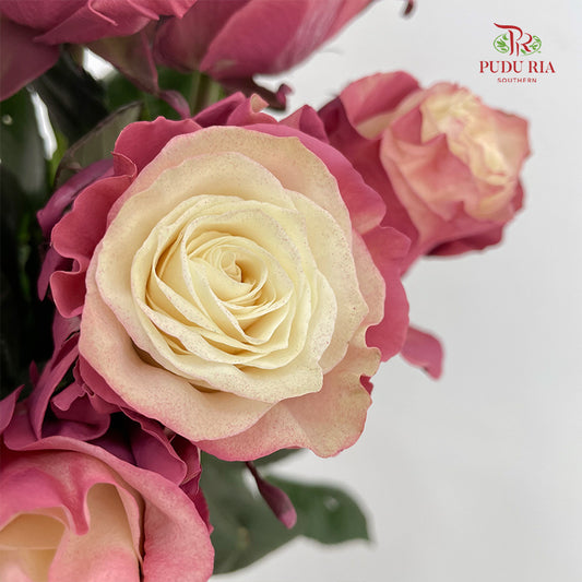 Rose Mondial Dyed Pop Star - (8-10 Stems)