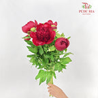 Peony Charm - (5 Stems)