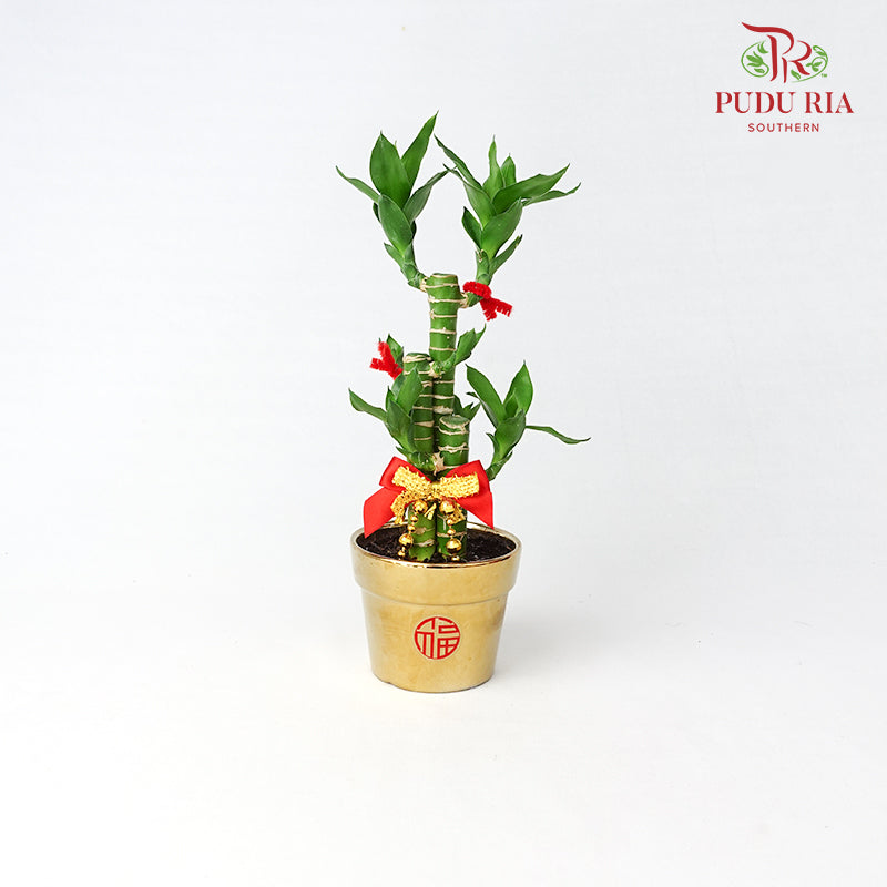 CNY Potted Plant Arrangement 2024#2