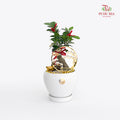 CNY Potted Plant Arrangement 2025#7
