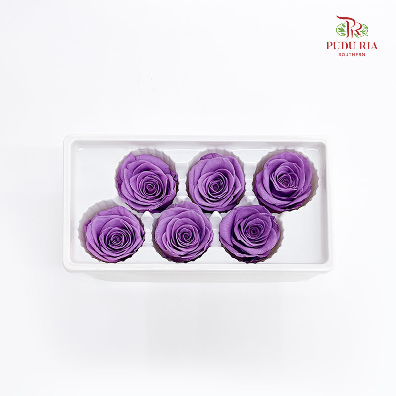 6 Bloom Preservative Rose - Amethyst Purple