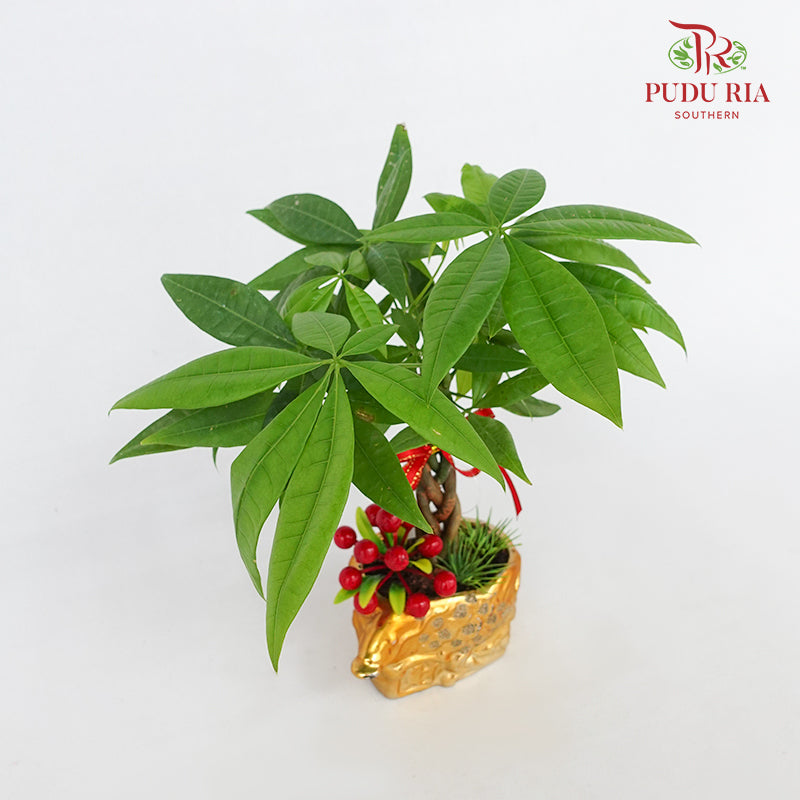 CNY Potted Plant Arrangement 2024#21
