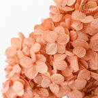 Preservative Hydrangea - Peach ( Long Shape )/ Per Stem - Pudu Ria Florist Southern