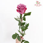 Rose Violet Hill - (15 Stems)