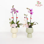 CNY Potted Plant Arrangement 2024#88