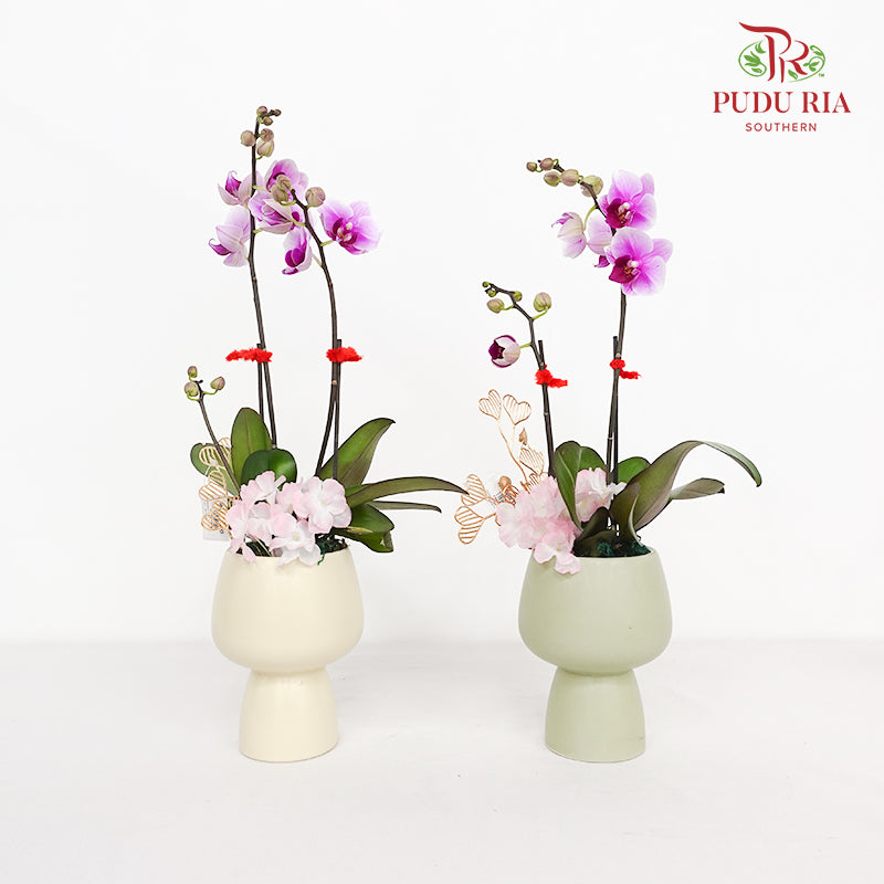 CNY Potted Plant Arrangement 2024#88