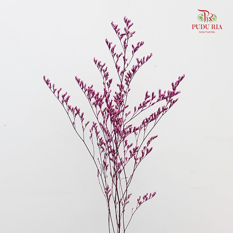 Dry Caspia - Magenta