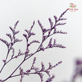 Dry Caspia - Purple