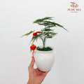 CNY Potted Plant Arrangement 2024#31