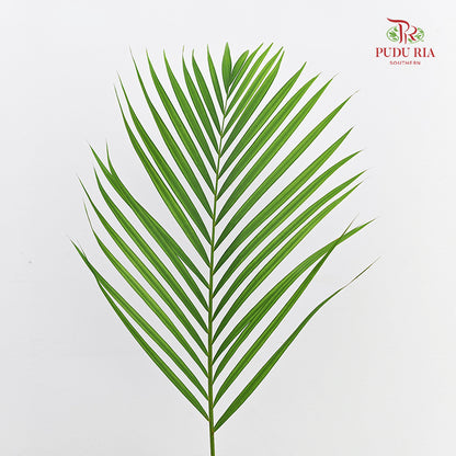 Yellow Palm Leaf (M) - (10 Stems)