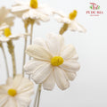 Dry Sunflower Seed Flower - White (Disk Flower Yellow)