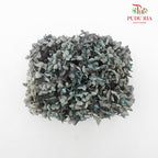 Preservative Hydrangea - Grey And Green - Pudu Ria Florist Southern