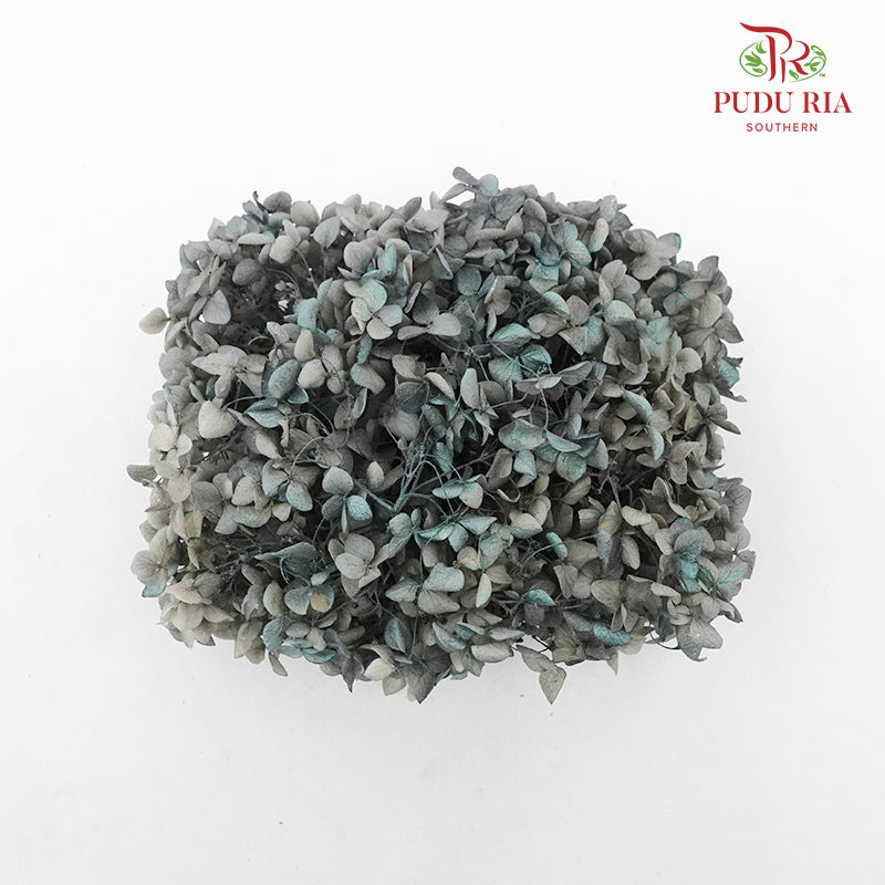 Preservative Hydrangea - Grey And Green - Pudu Ria Florist Southern