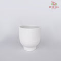 JW729000 White Pot