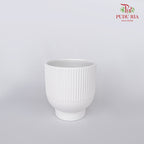 JW729000 White Pot