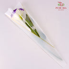Korea Plastic Wrapping - FPL037