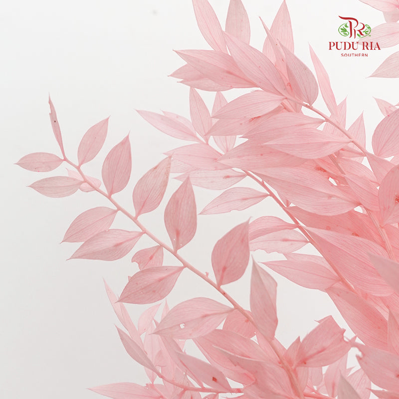 Dry Ruscus Dyed - Pink