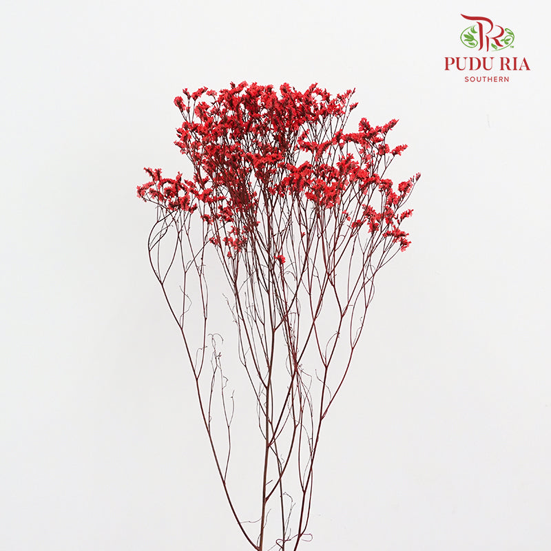 Dry Caspia - Red