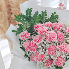 Carnation Bouquet (20 Stems)