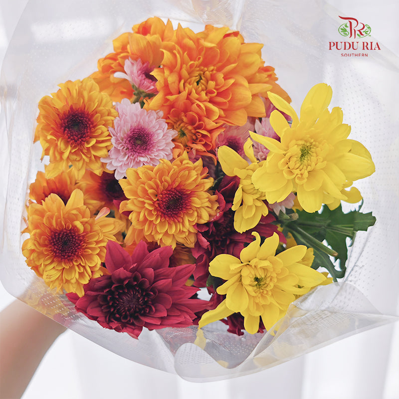 Chrysanthemum Pompom Mix Colour - (5 Stems)