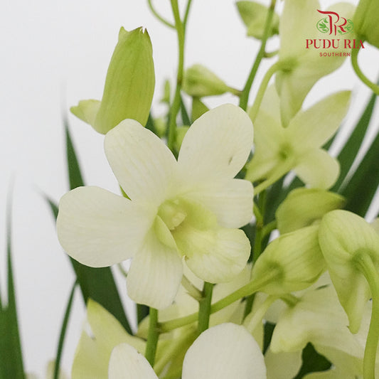 Local White (Orchid) - Per Bunch - Pudu Ria Florist Southern