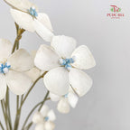 Dry Violet - White Center Blue