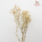 Preservative Baby Breath - Natural - Pudu Ria Florist Southern