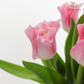 Tulip Liberstar Pink 皇冠郁金香 - (8-10 Stems)