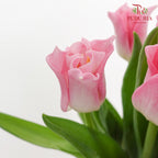 Tulip Liberstar Pink 皇冠郁金香 - (8-10 Stems)