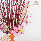 CNY Arrangement 2024#34