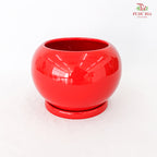 GF-8145  Asst Pot