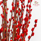 CNY Arrangement 2024#28
