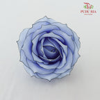 18 Bloom Soap Flowers Black Liner Light Blue - FBA080#4 - Pudu Ria Florist Southern