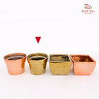 ZF Rose Gold & Gold Pot